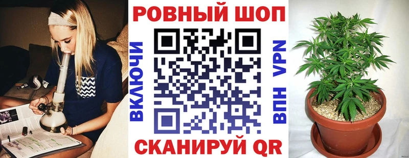 Наркошоп Балашиха Бутират  Амфетамин  Гашиш  Каннабис  МЕФ  Кокаин 