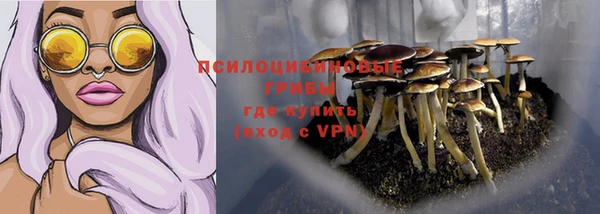 крисы Вуктыл