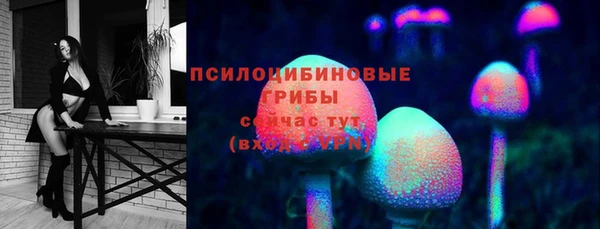 не бодяженный Аркадак