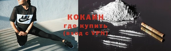 шишки Армянск