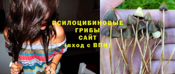 шишки Армянск