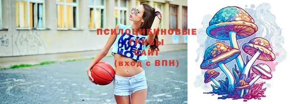 шишки Армянск