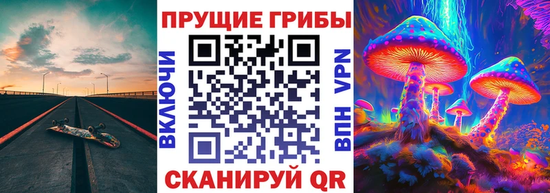 как найти закладки  Балашиха  Галлюциногенные грибы прущие грибы 
