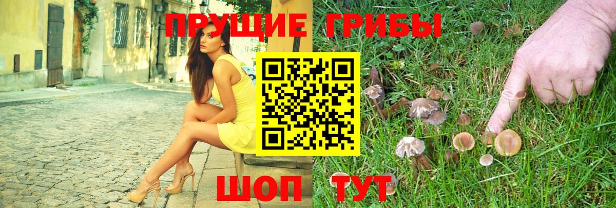 Балашиха  Псилоцибиновые грибы мицелий  Вход с VPN 