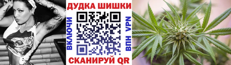 Бошки Шишки сатива  KRAKEN вход  Балашиха 